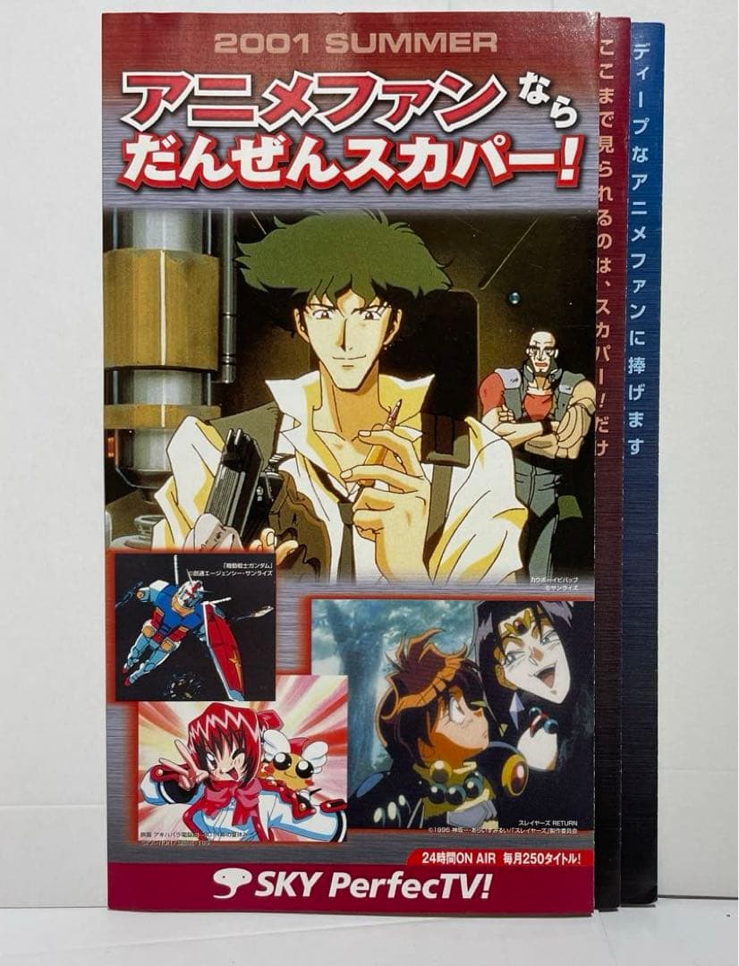 スカパー　2001 夏 SUMWER ルギア爆誕　チラシ　カーボイビバップ