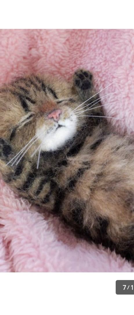 羊毛フェルトおねんね キジトラ子猫 約15cmお値下中