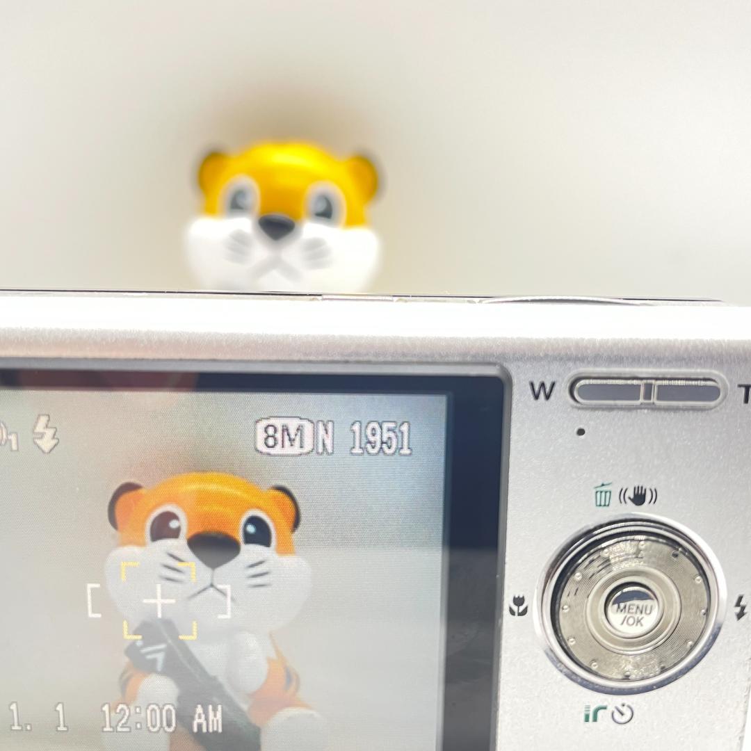 FUJIFILM FINEPIX Z100fd 【動作品・転送特典無料あり】