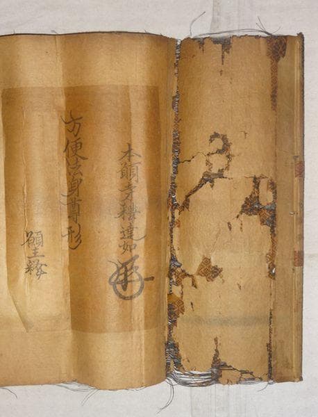 アンティーク 東本願寺 第20代法主 大谷光朗 達如 阿弥陀如来 紙本 掛軸