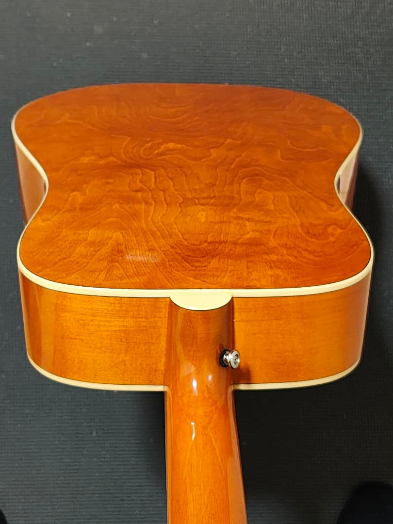 Epiphone DOVE PRO VSエレアコ/美品ソフトケース