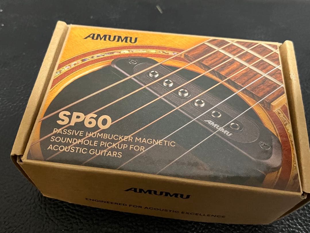 James JD800VBトップバック単板★ピックアップ★セルロイドピックガード