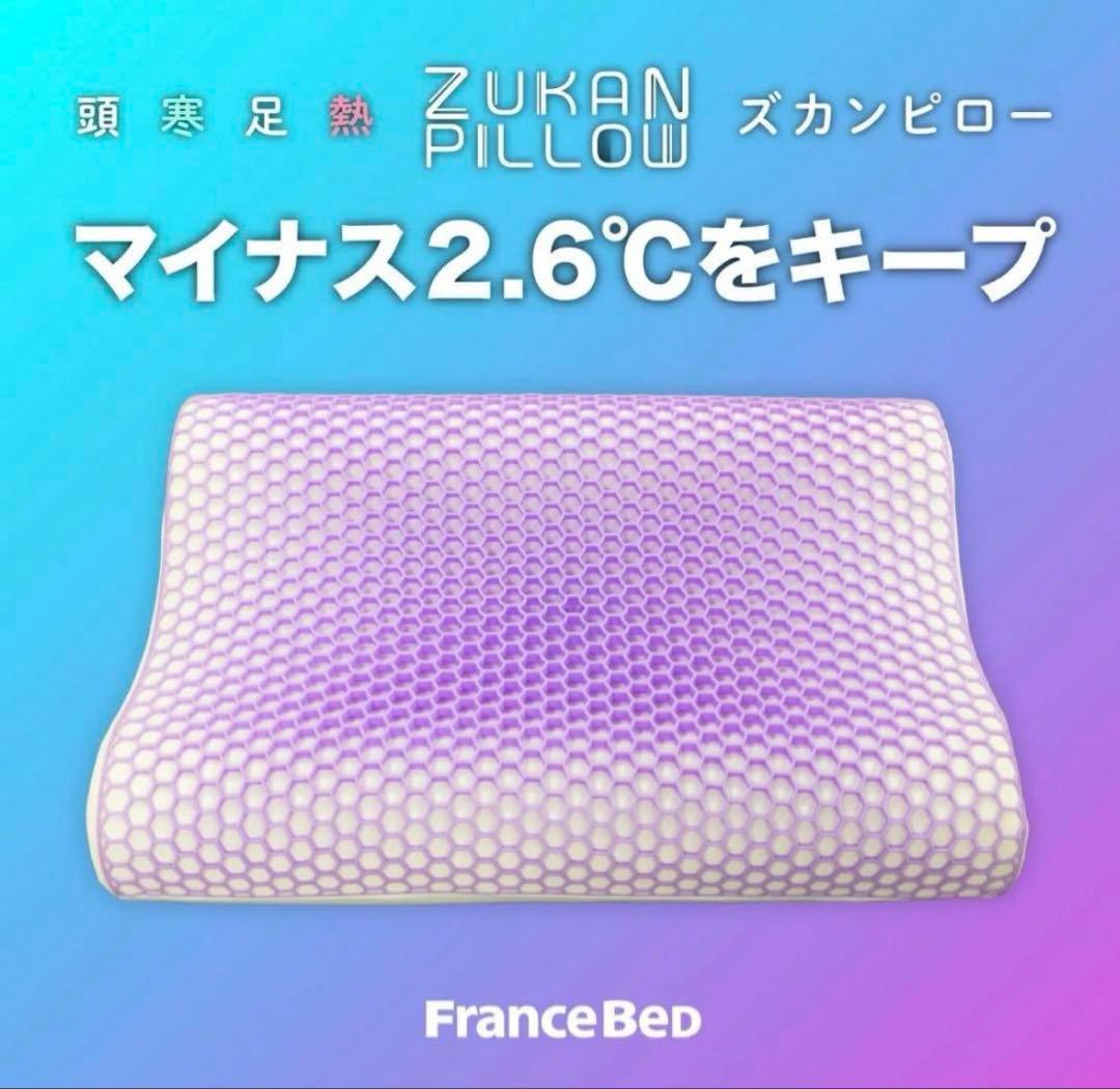 ズカンピロー<ZUKAN PILLOW> フランスベッド　新品未使用品