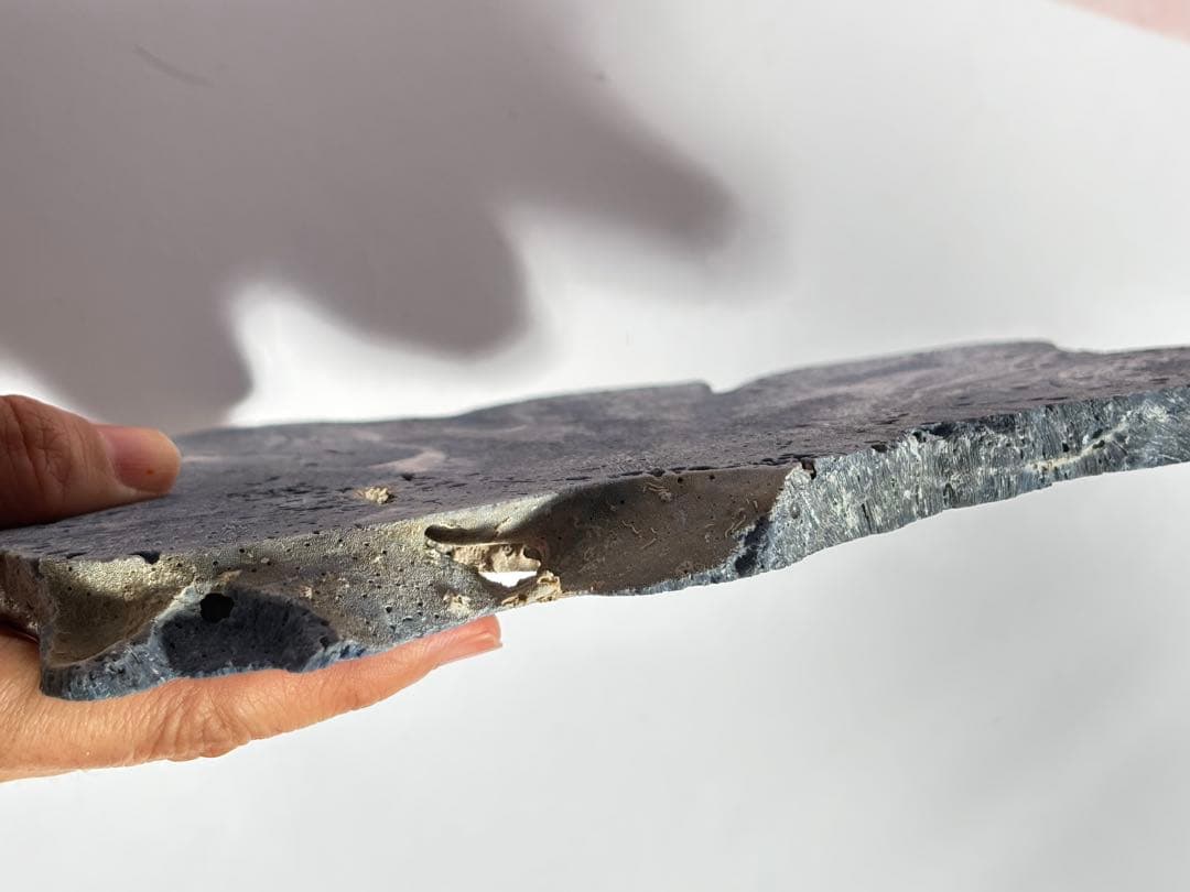 ブルー珊瑚　ハイグレード　特別　かわいすぎ　プレート　大きい！横21cm縦16