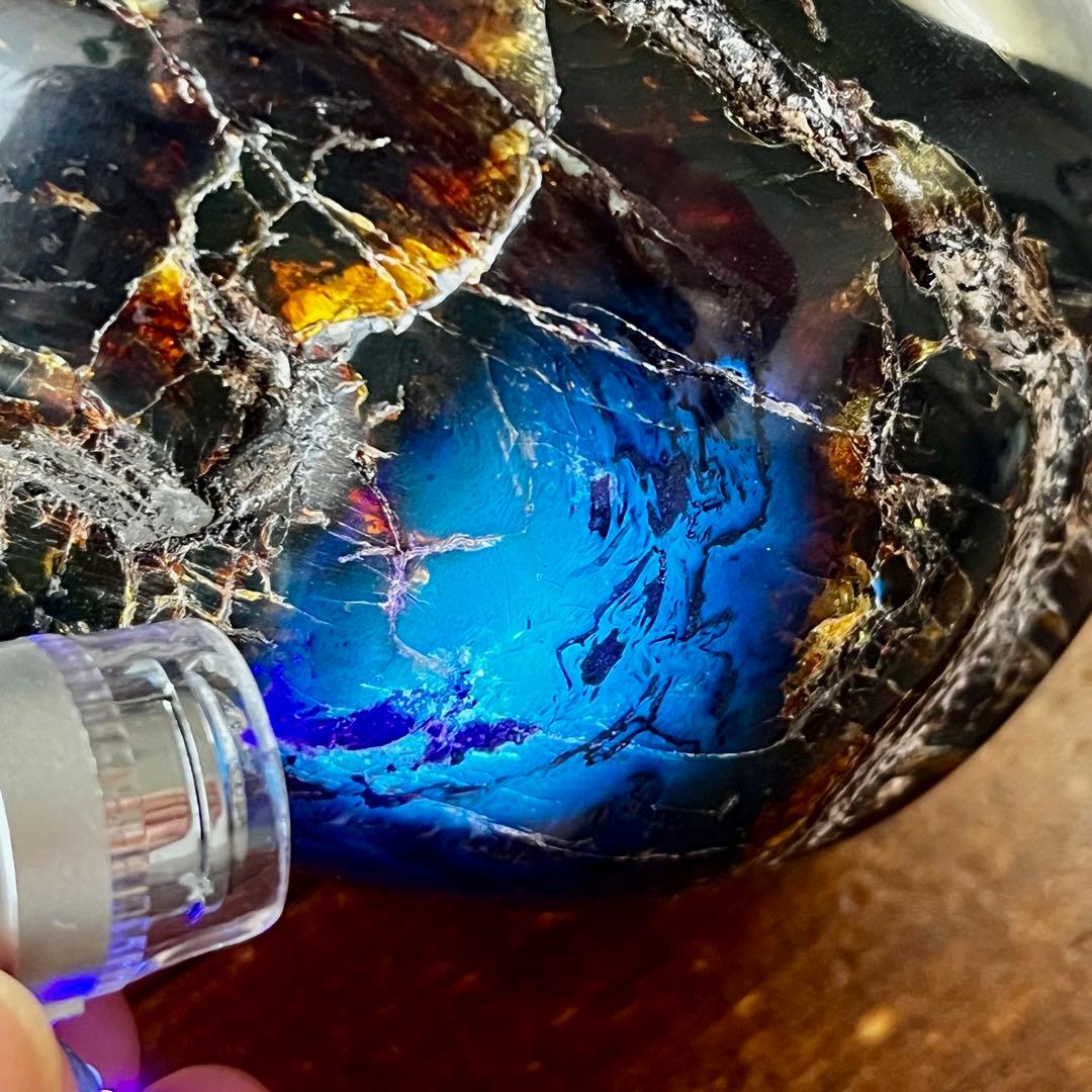 3340ct 琥珀 原石 標本 チェリー ブルー タイガー アンバー 激レア