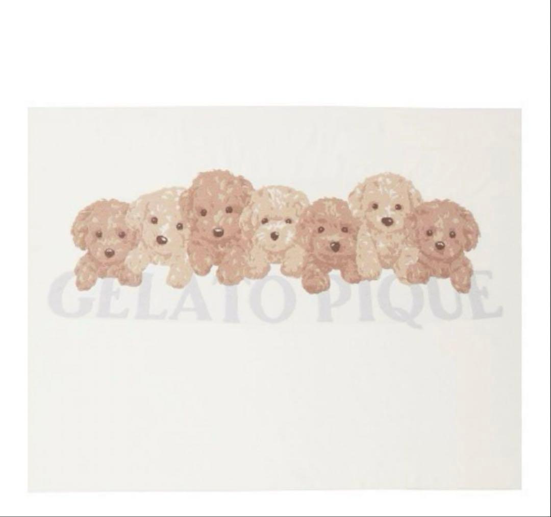 新品未使用 ジェラートピケ 「Sleep」トイプードルジャガードマルチカバー