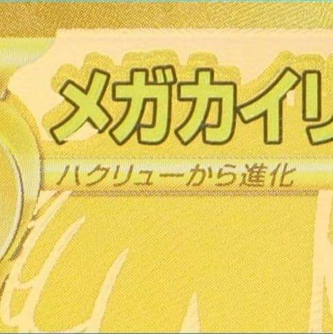 【エラー】メガカイリューex MUR【鑑定済み美品】