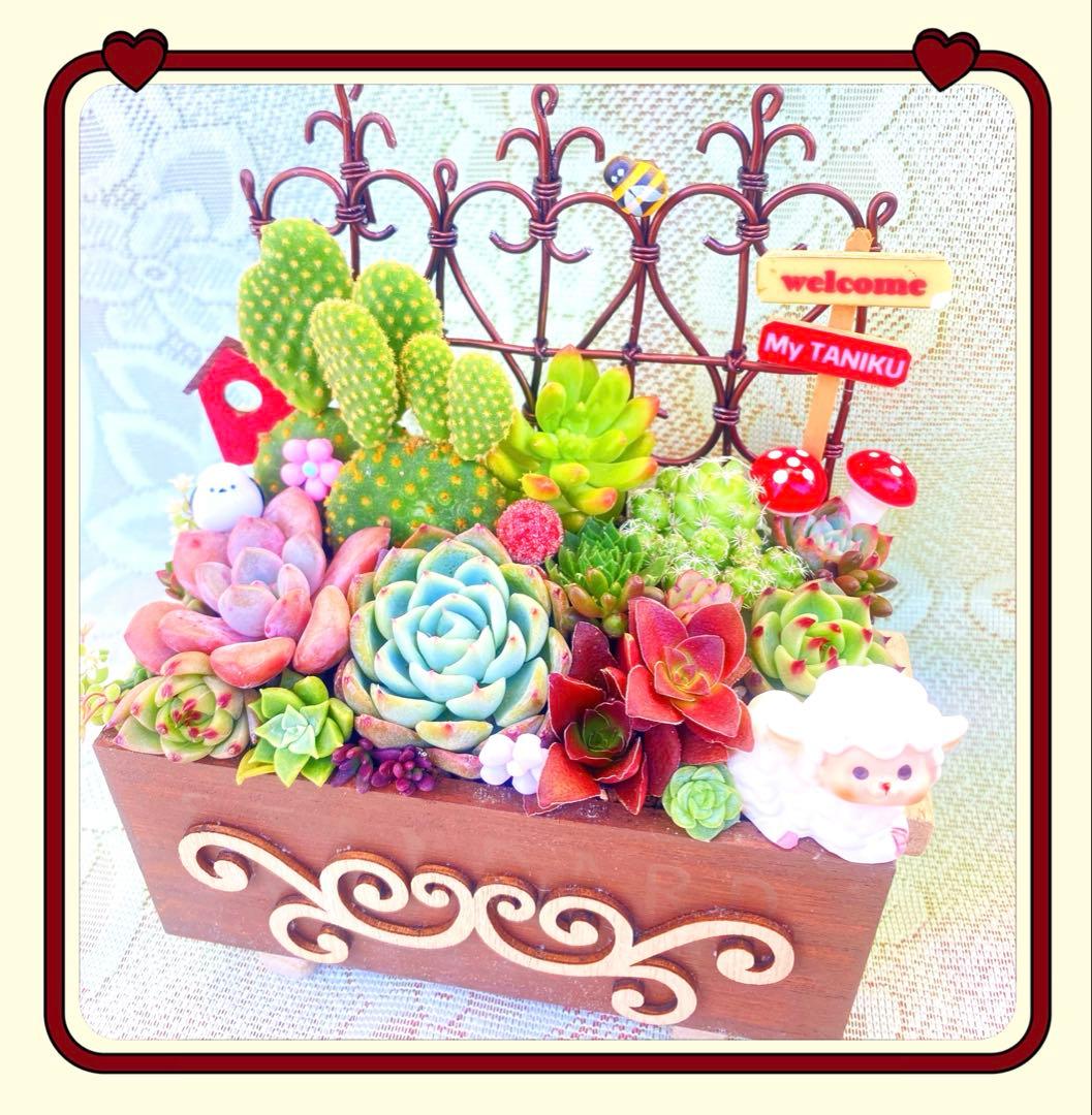 サボテン◆多肉寄せ植え◆ワイヤーフェンス◆木箱