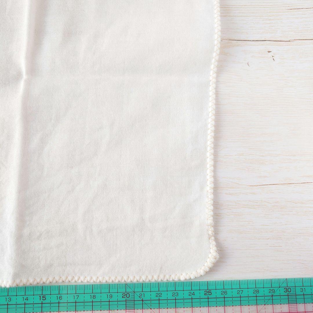 手刺繍入ちっちゃな ガーゼハンカチ【りすとよつ葉ときのこ】