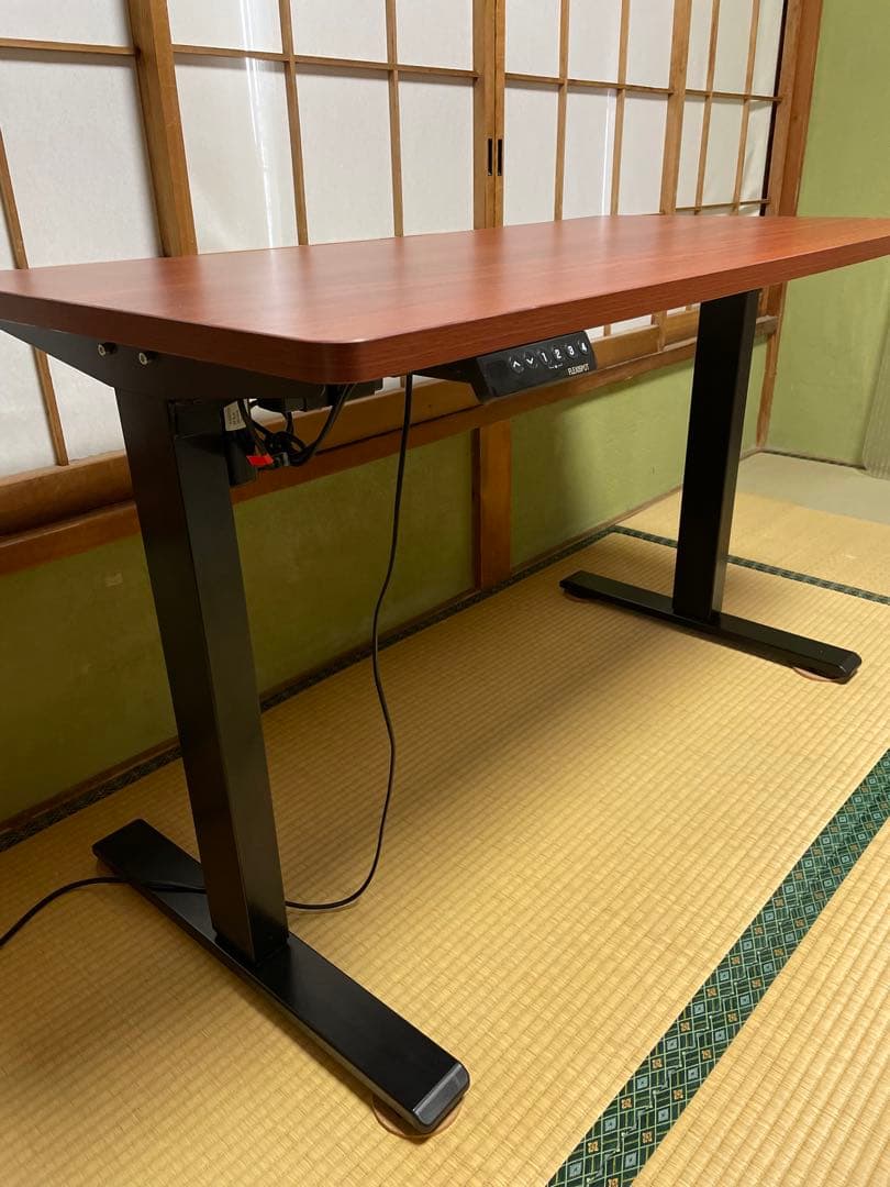 FLEXISPOT EF1B-JA 電動昇降デスク 120×60 動作確認済