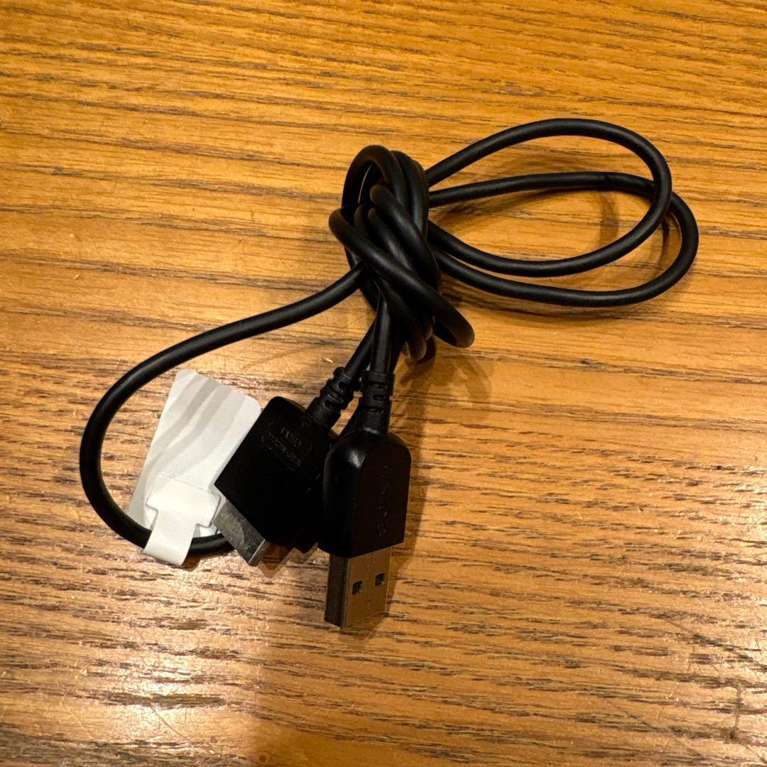 SONY ウォークマン 青色 充電器付き