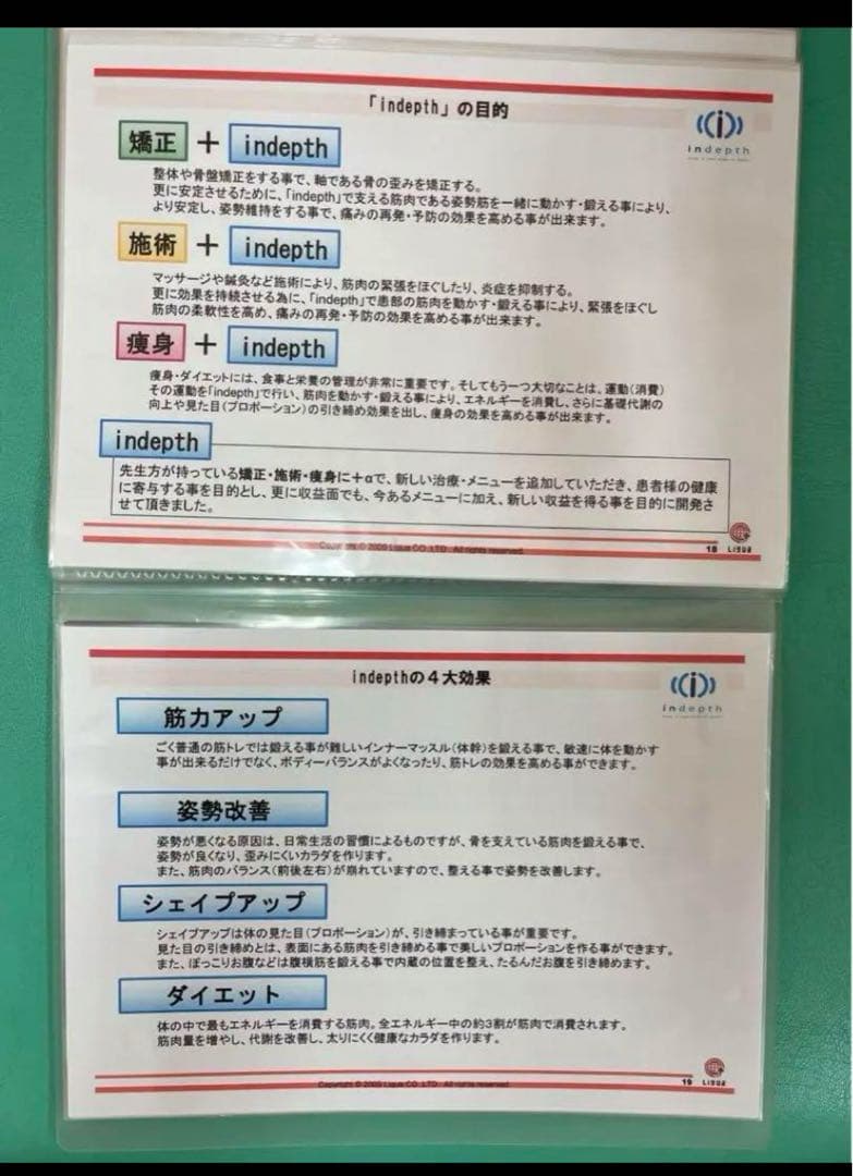 定価880000円　美品　インデプス　リグア　EMS