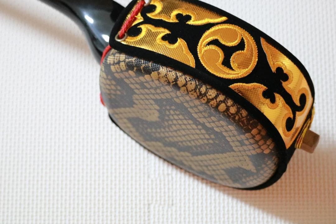 三線 沖縄三線初心者にもやさしいお得なセットＤＶＤ、教本、チューナー他付属品付