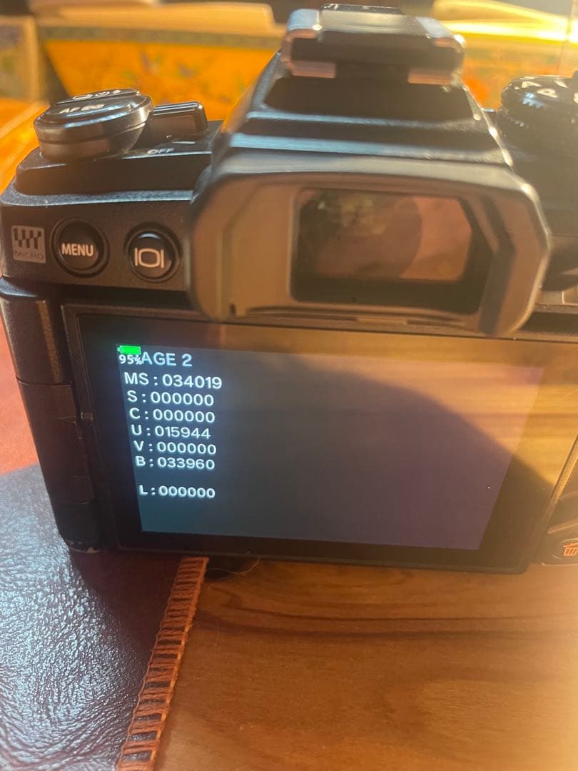 OLYMPUS ミラーレス一眼カメラ OM-D E-M1 MarkIII