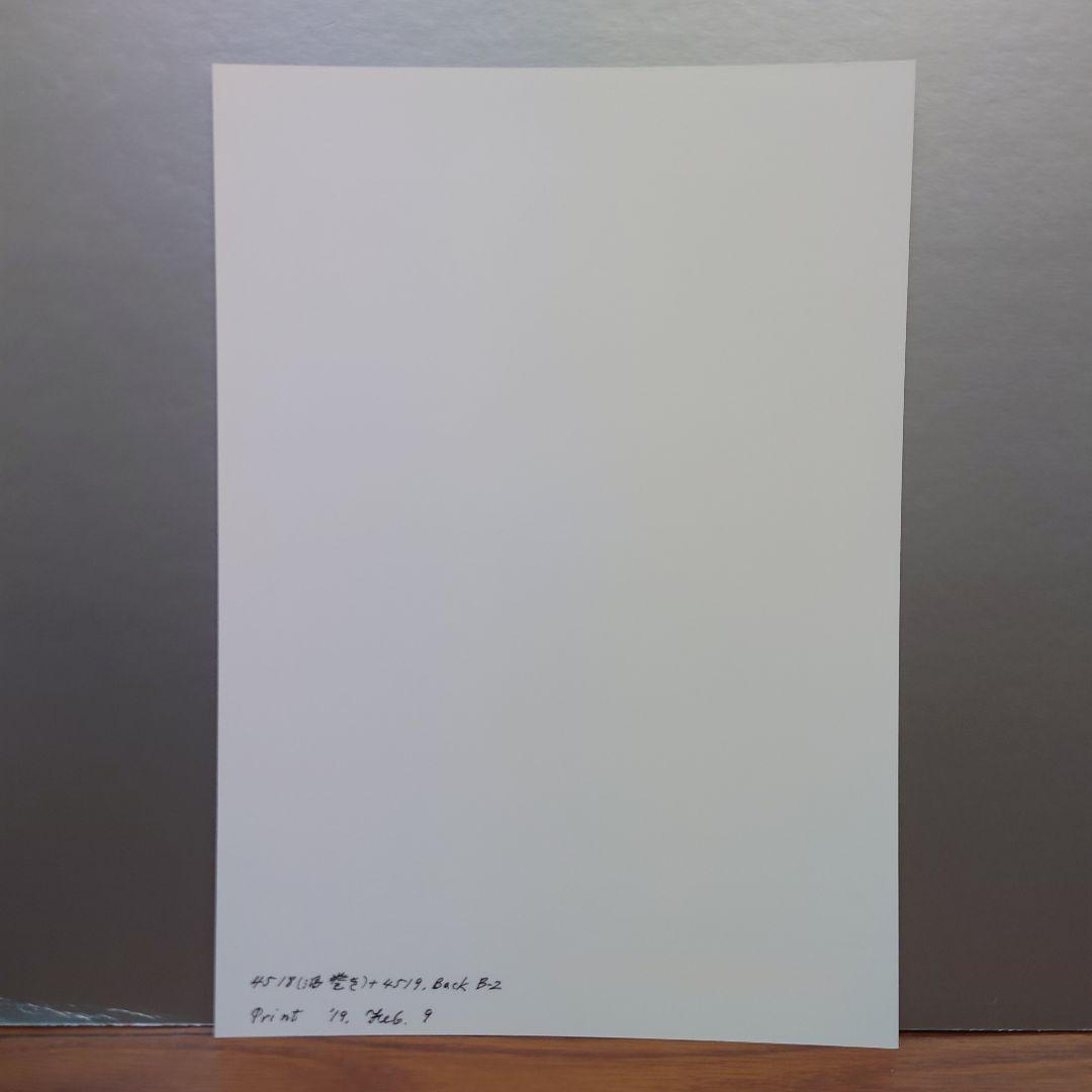 井上治（Osamu Inoue）4518＋4519　静物　フォトアート　作品