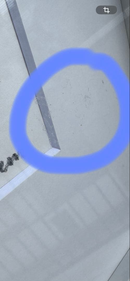 ちいさなトガリネズミ リトグラフ