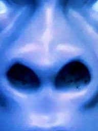 ガキ使ソフビ人形[おもしろ浜田子ゴリラ人形]未開封！