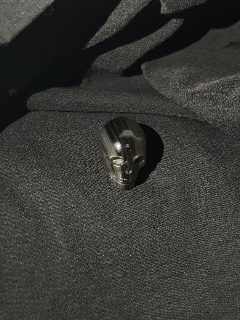 【即購入ok】シリウス隕石のスカル｜星の記憶を宿す唯一の存在