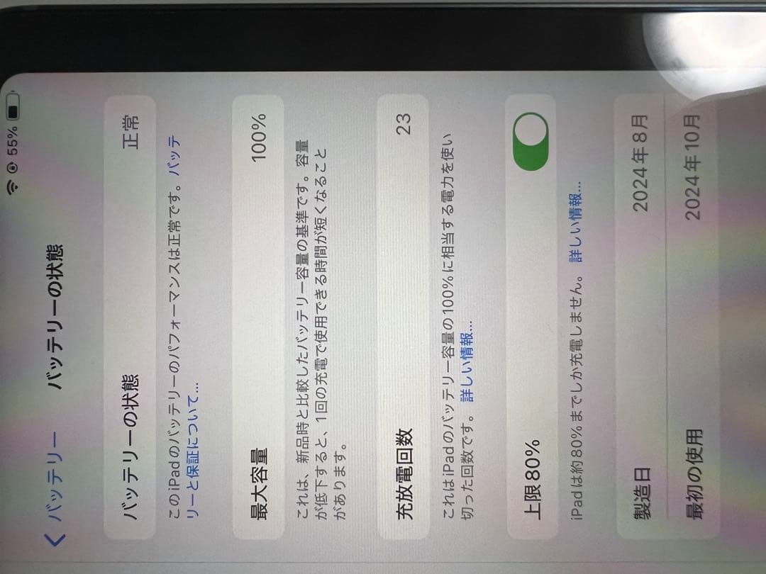 iPad mini (第7世代) 256GB Wi-Fi + Cellular