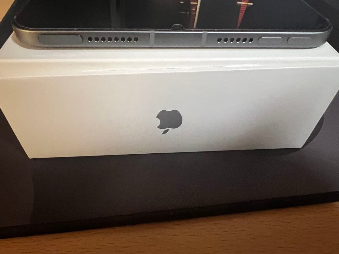 iPad mini (第7世代) 256GB Wi-Fi + Cellular