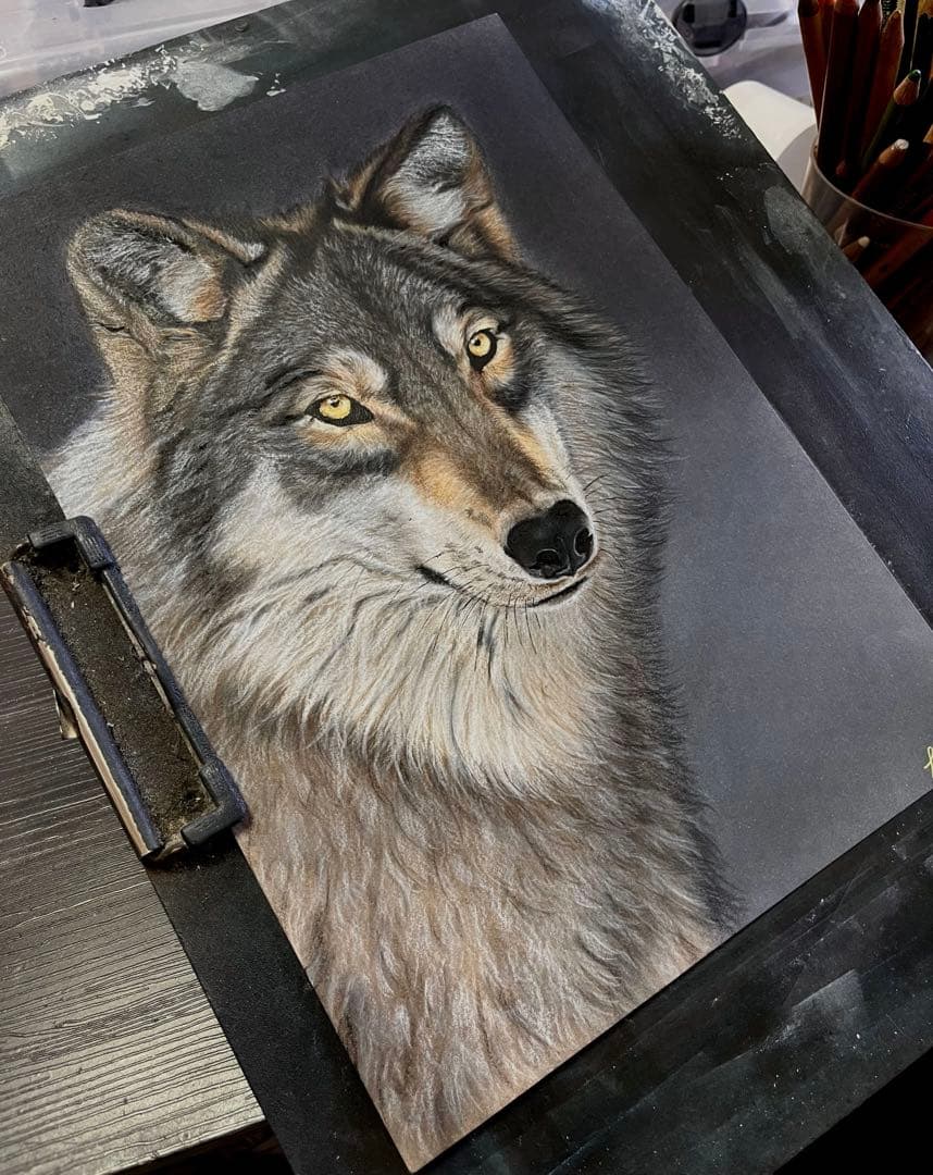 清潭な狼　色鉛筆画