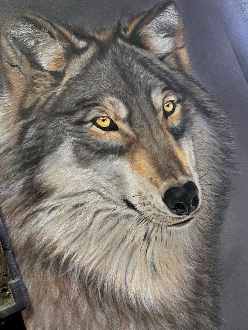 清潭な狼　色鉛筆画