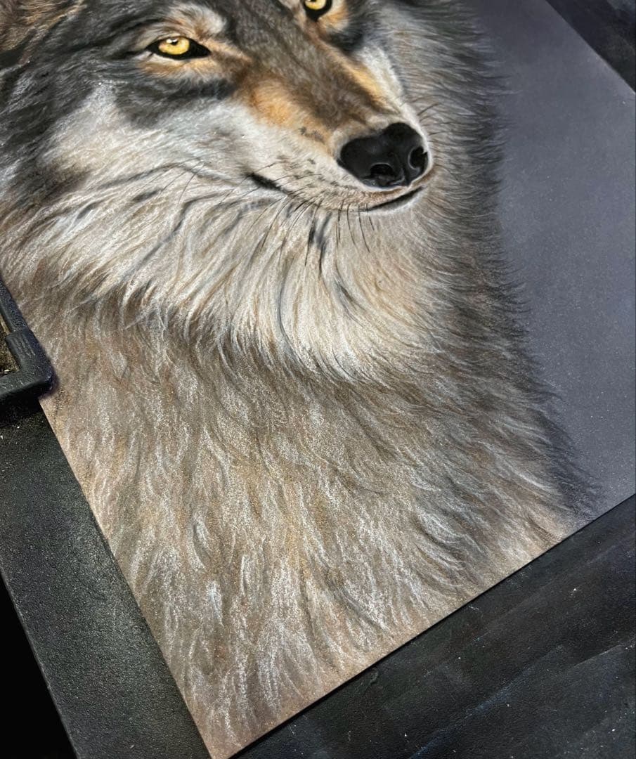 清潭な狼　色鉛筆画