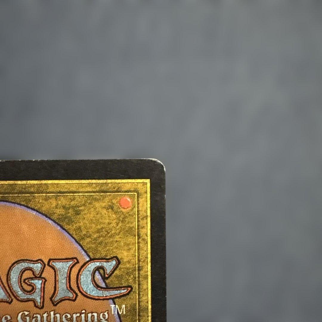 MTG 吸血の教示者　英語版１枚