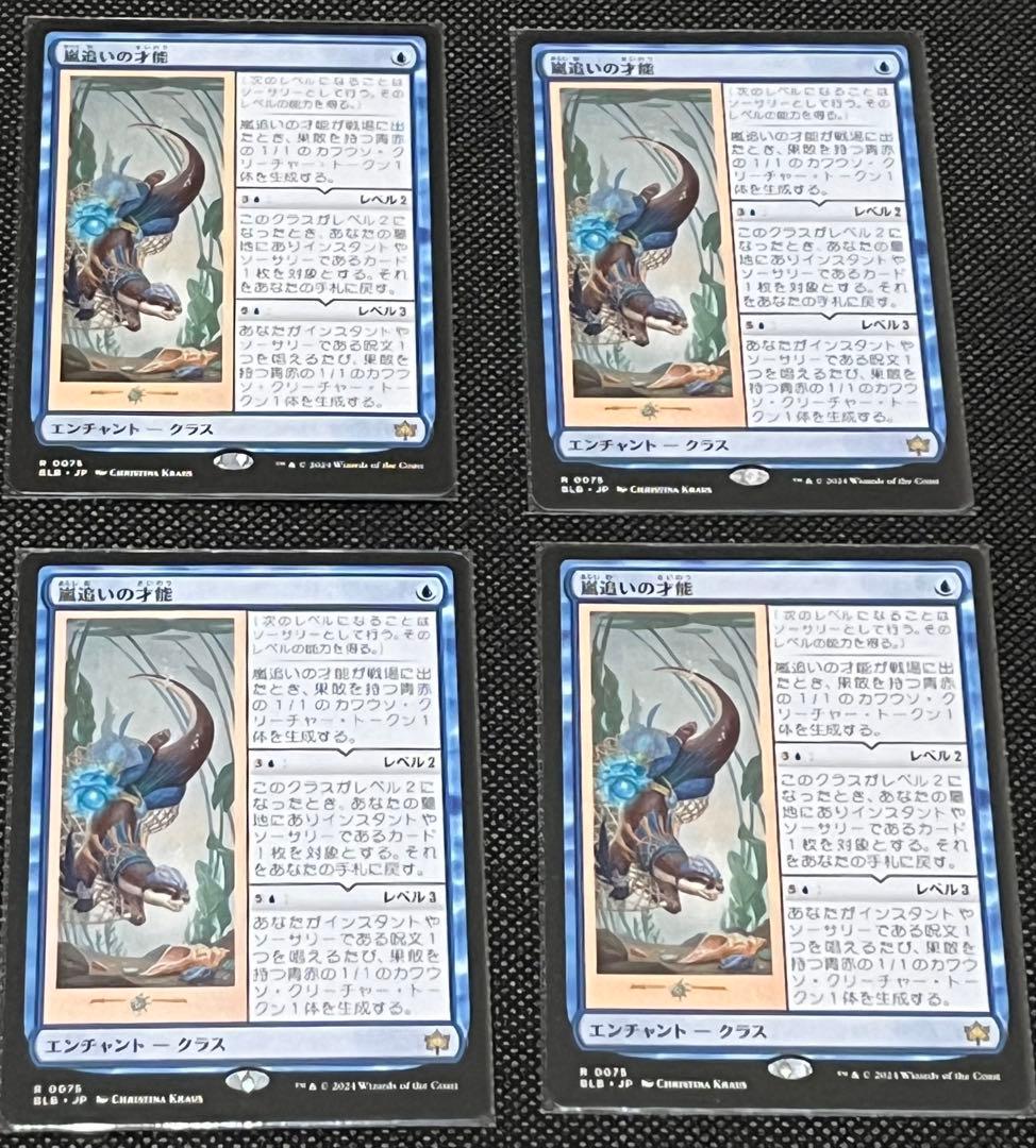 嵐追いの才能/Stormchaser's Talent 日本語版4枚セット