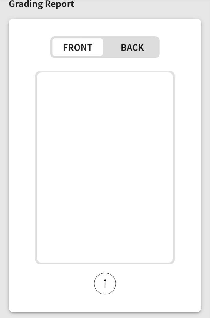 Gemix10 ヒトカゲミラー リザードミラー 2枚セット psa10相当