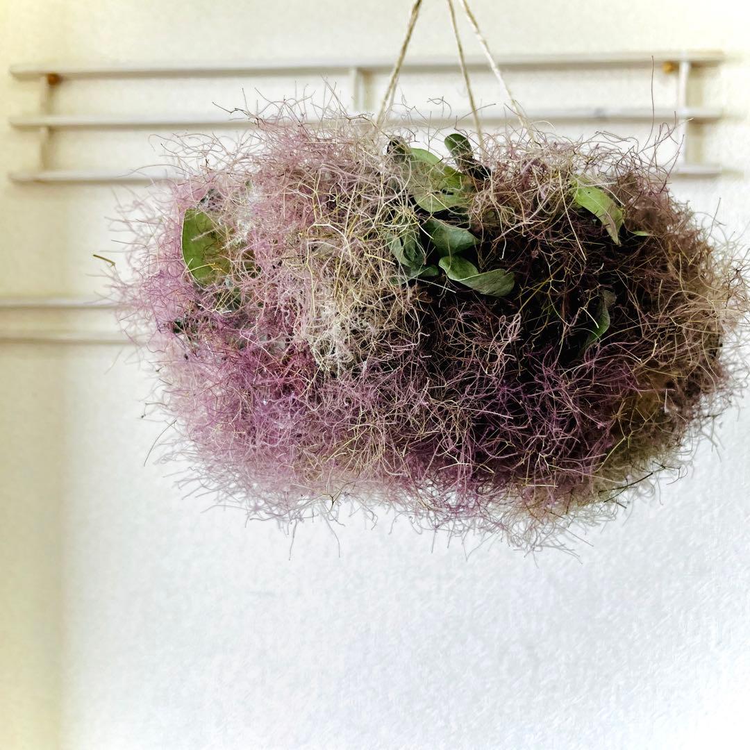 スモークツリー　フライングリース　リース　ドライフラワー　スワッグ　クリスマス