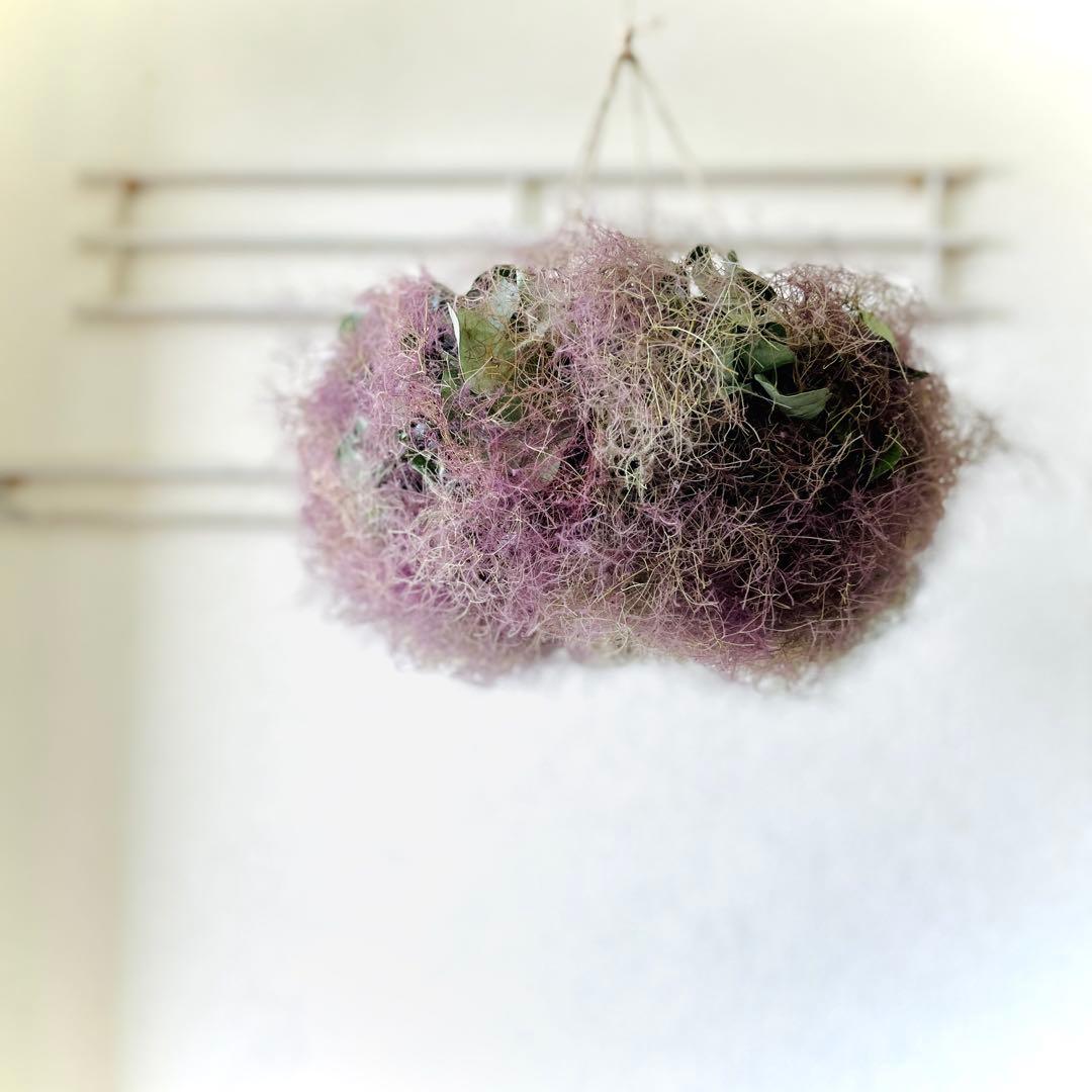 スモークツリー　フライングリース　リース　ドライフラワー　スワッグ　クリスマス