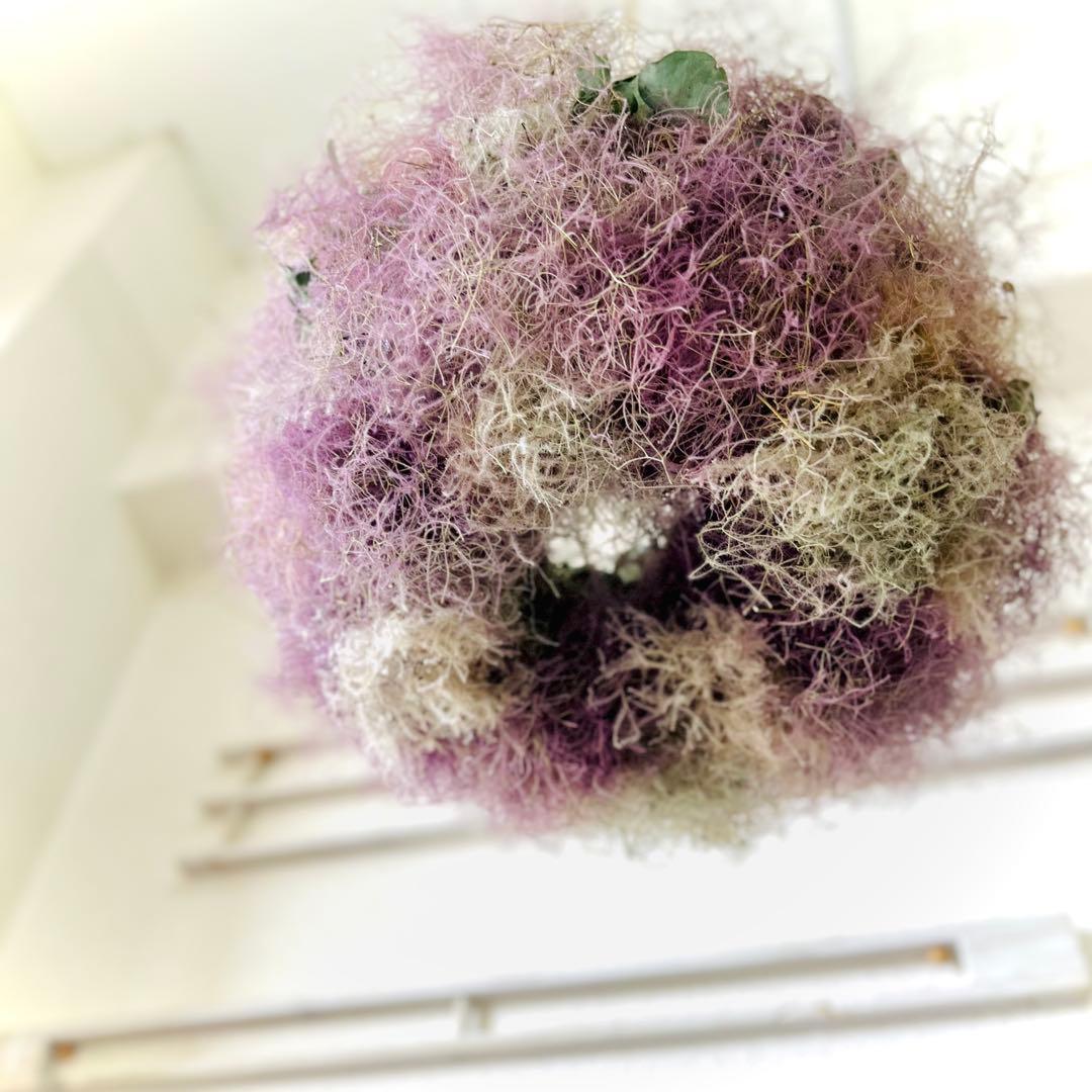 スモークツリー　フライングリース　リース　ドライフラワー　スワッグ　クリスマス