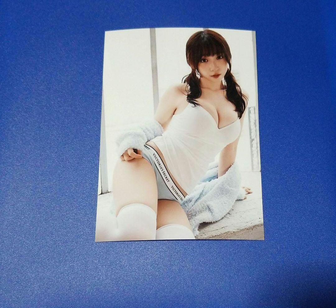 ニャンパラリ　L判　11枚　No.90