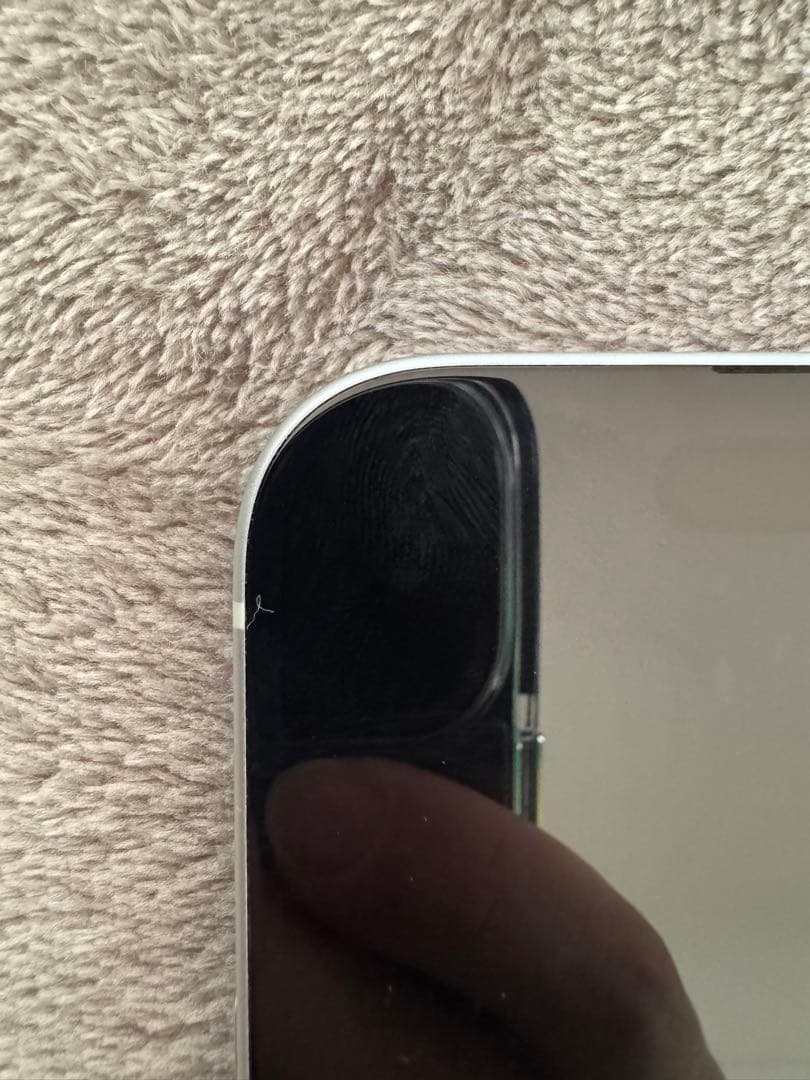 Apple iPhone 15 本体