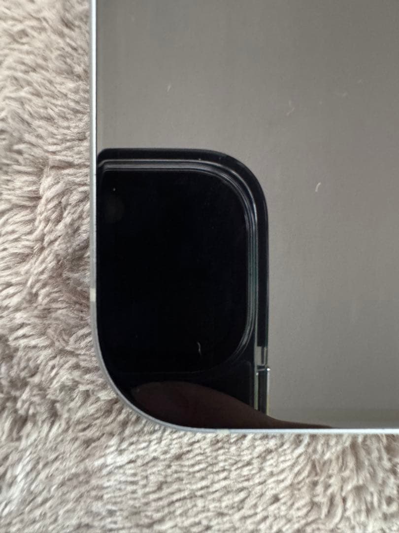 Apple iPhone 15 本体