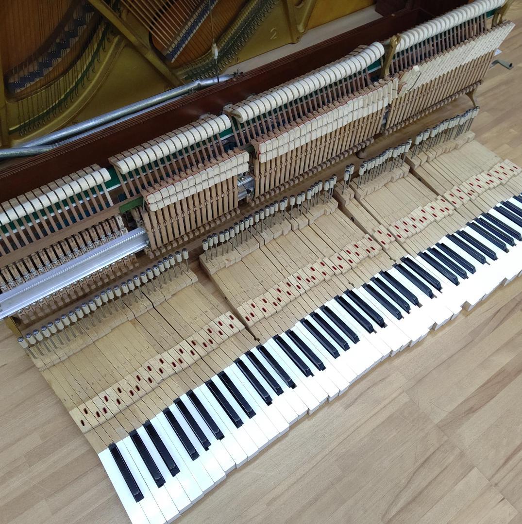 ヤマハ W101【美品/希少ローズウッド】内部調整(整調/整音済) YAMAHA