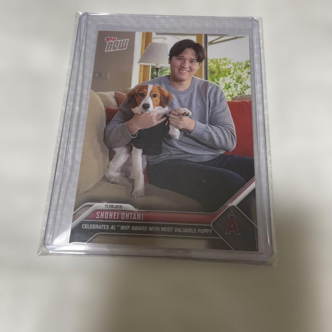 大谷翔平 デコピン