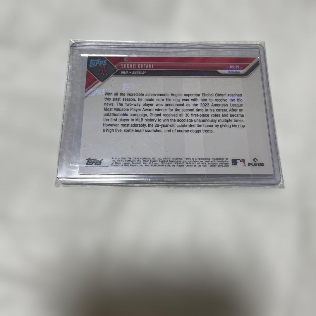 大谷翔平 デコピン