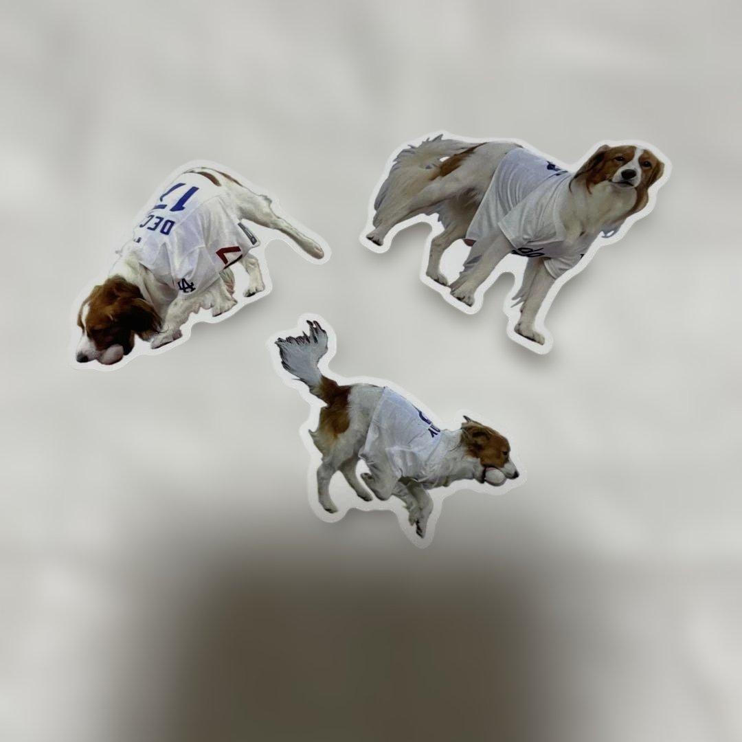 大谷翔平 デコピン