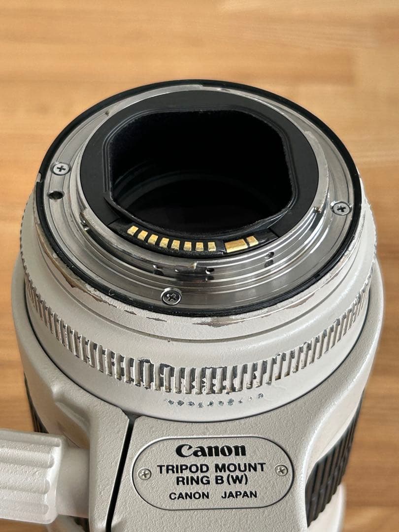 Canon EF 70-200mm f/2.8L IS Ⅱ USM