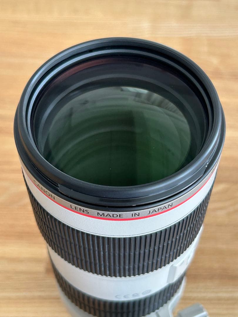 Canon EF 70-200mm f/2.8L IS Ⅱ USM