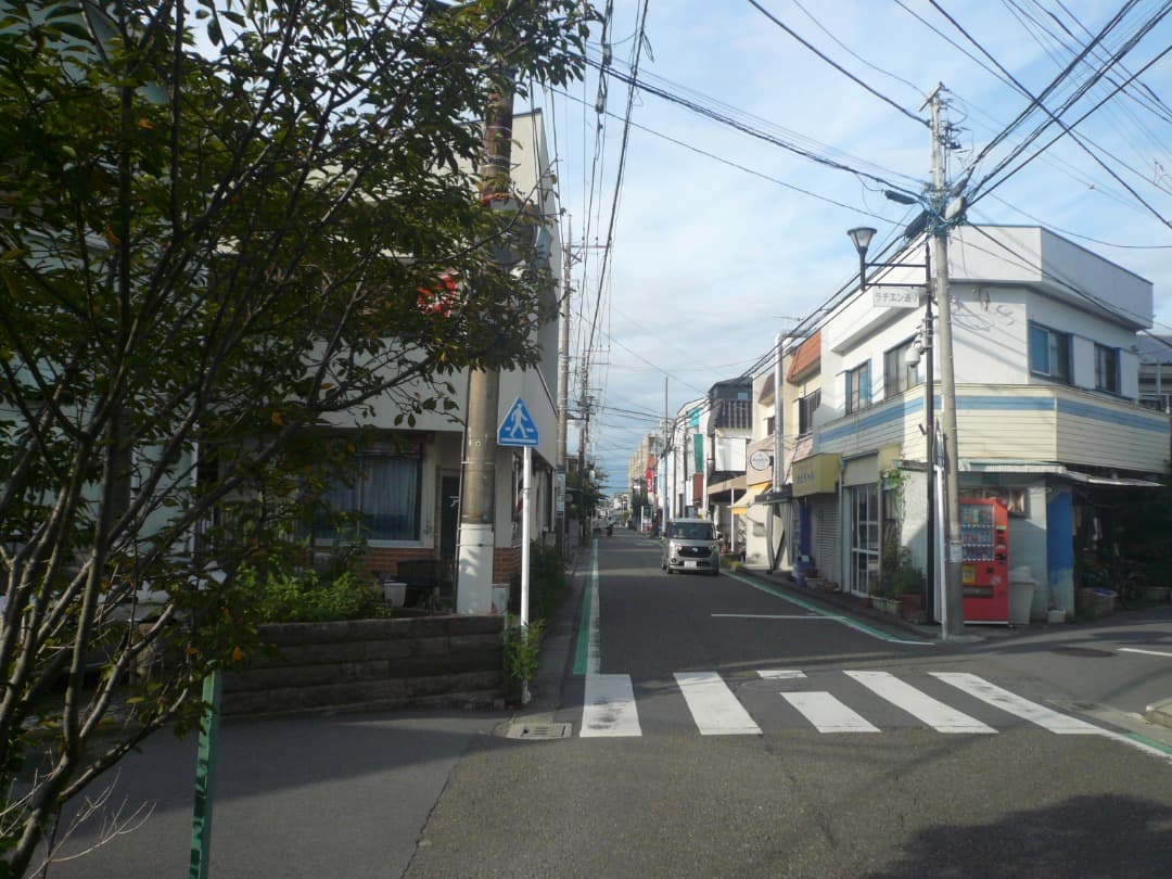 カードリーダー付⭕️【動作確認済】Panasonic LUMIX DMC-FX50