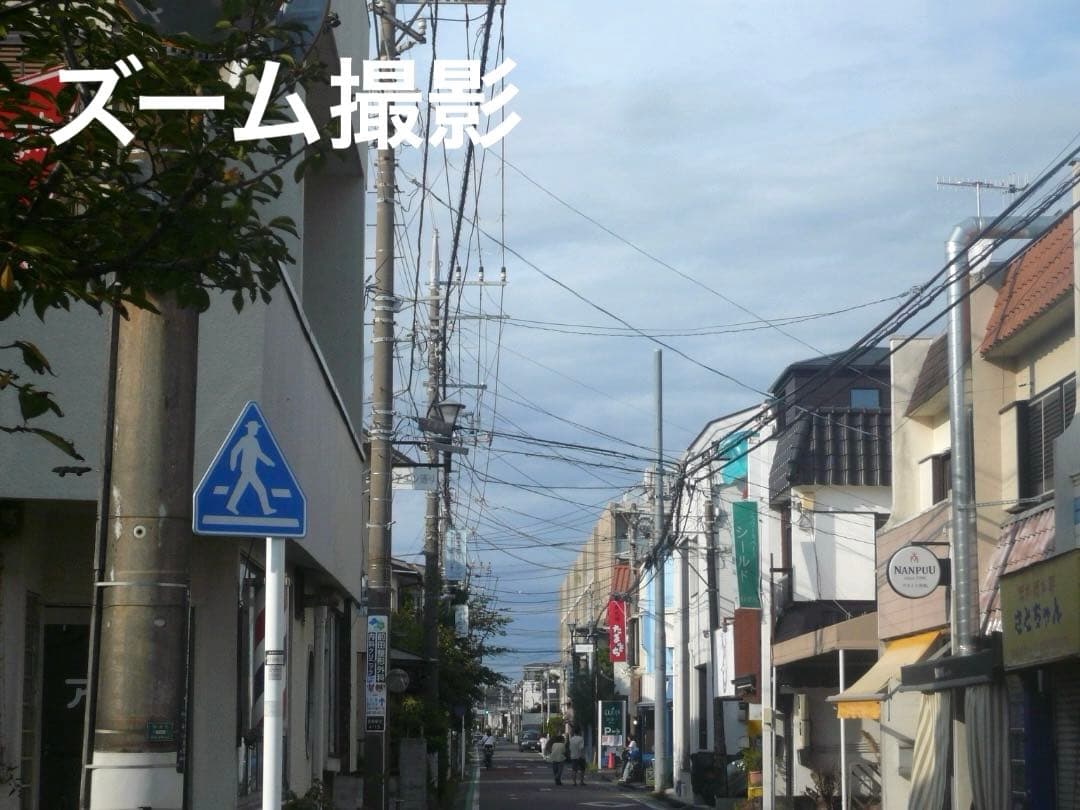 カードリーダー付⭕️【動作確認済】Panasonic LUMIX DMC-FX50