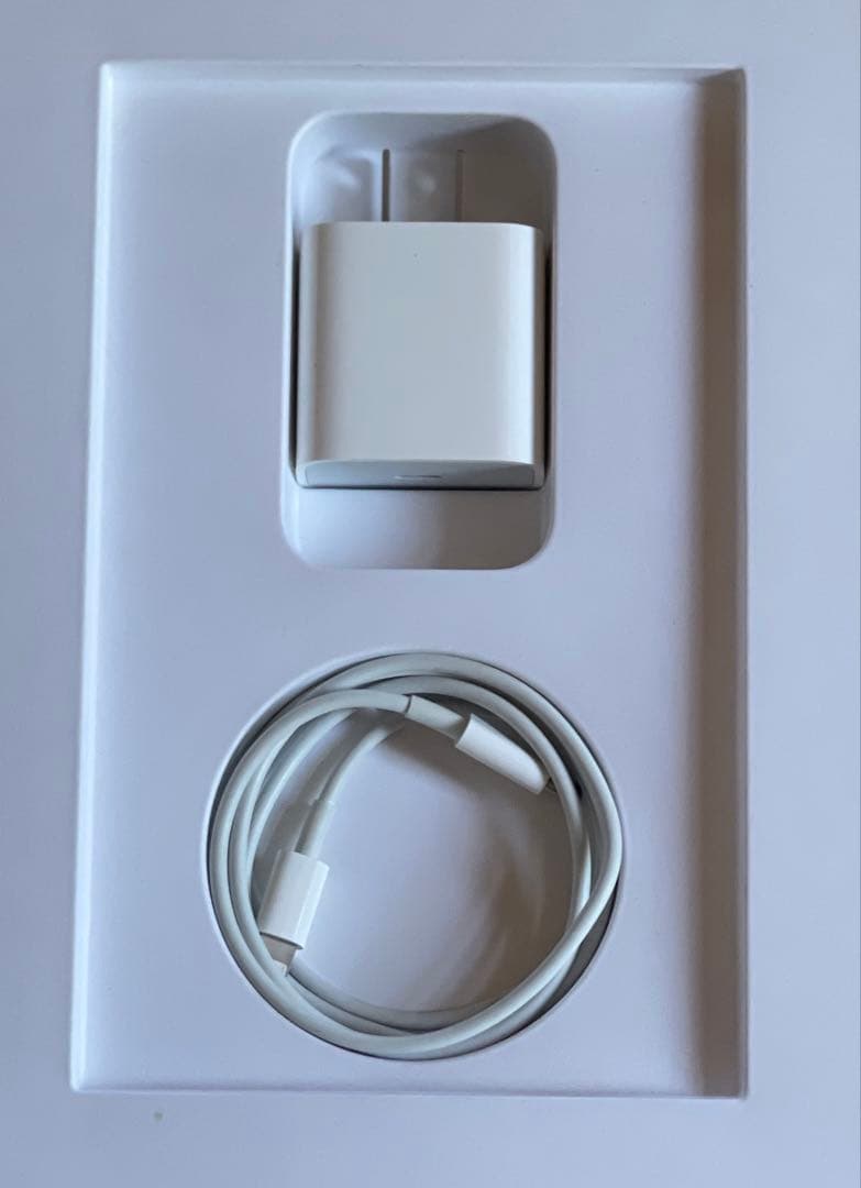 iPad Pro 12.9インチ グレー Apple Pencil付き