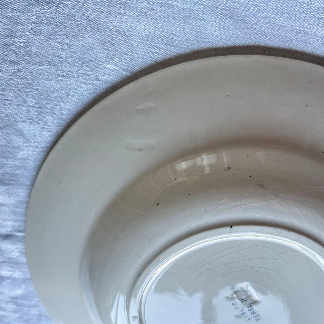 テールドフェール　アイビー　フランス　深皿　グリーン　グレー　　プレート