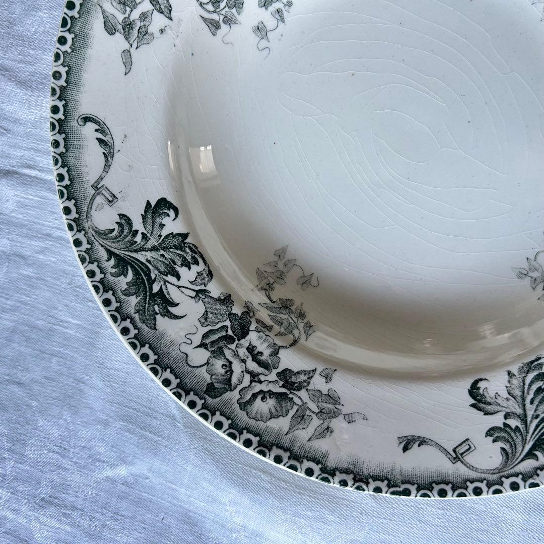 テールドフェール　アイビー　フランス　深皿　グリーン　グレー　　プレート