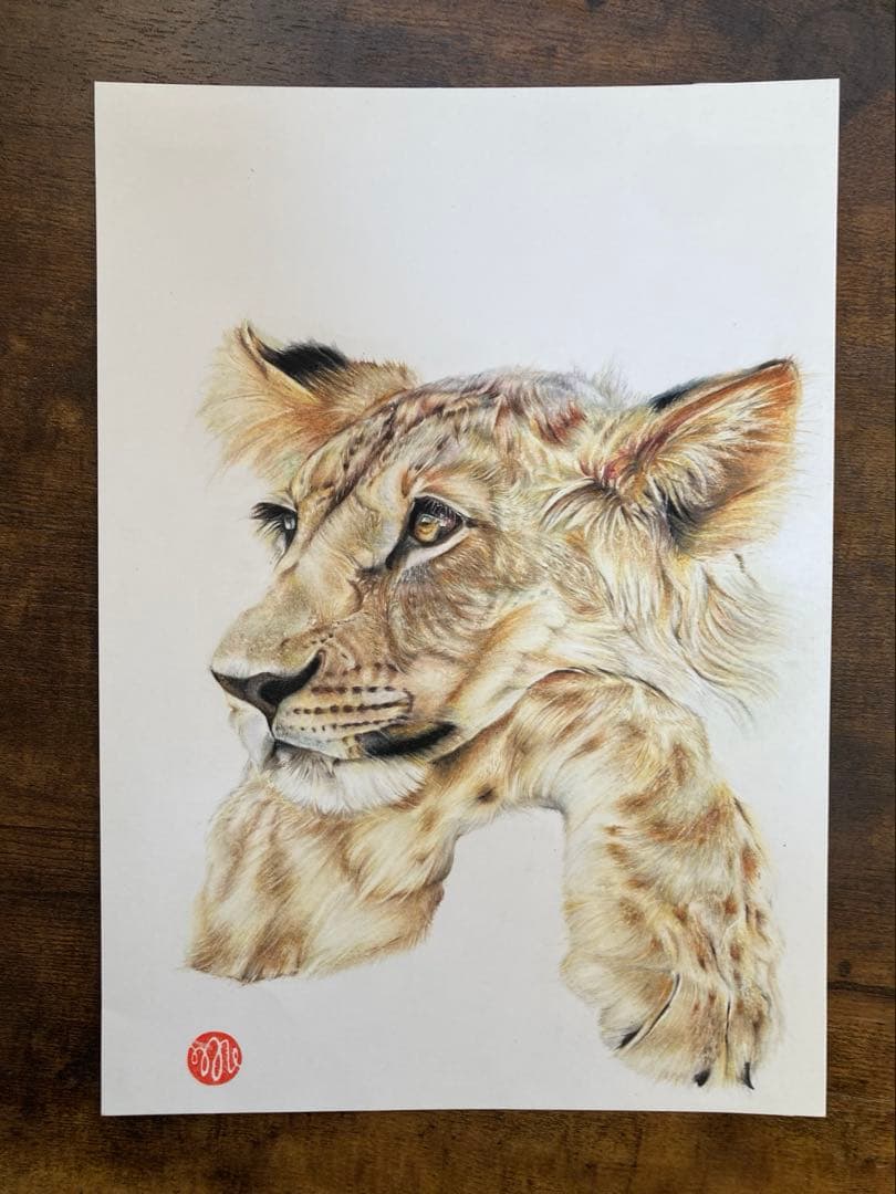 色鉛筆画 ライオン