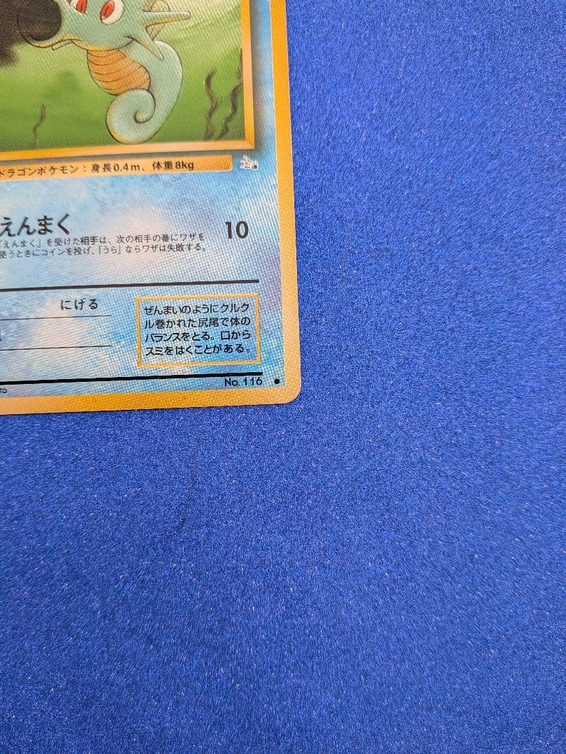 タツツー ポケモンカード HP40 LV.19　旧裏