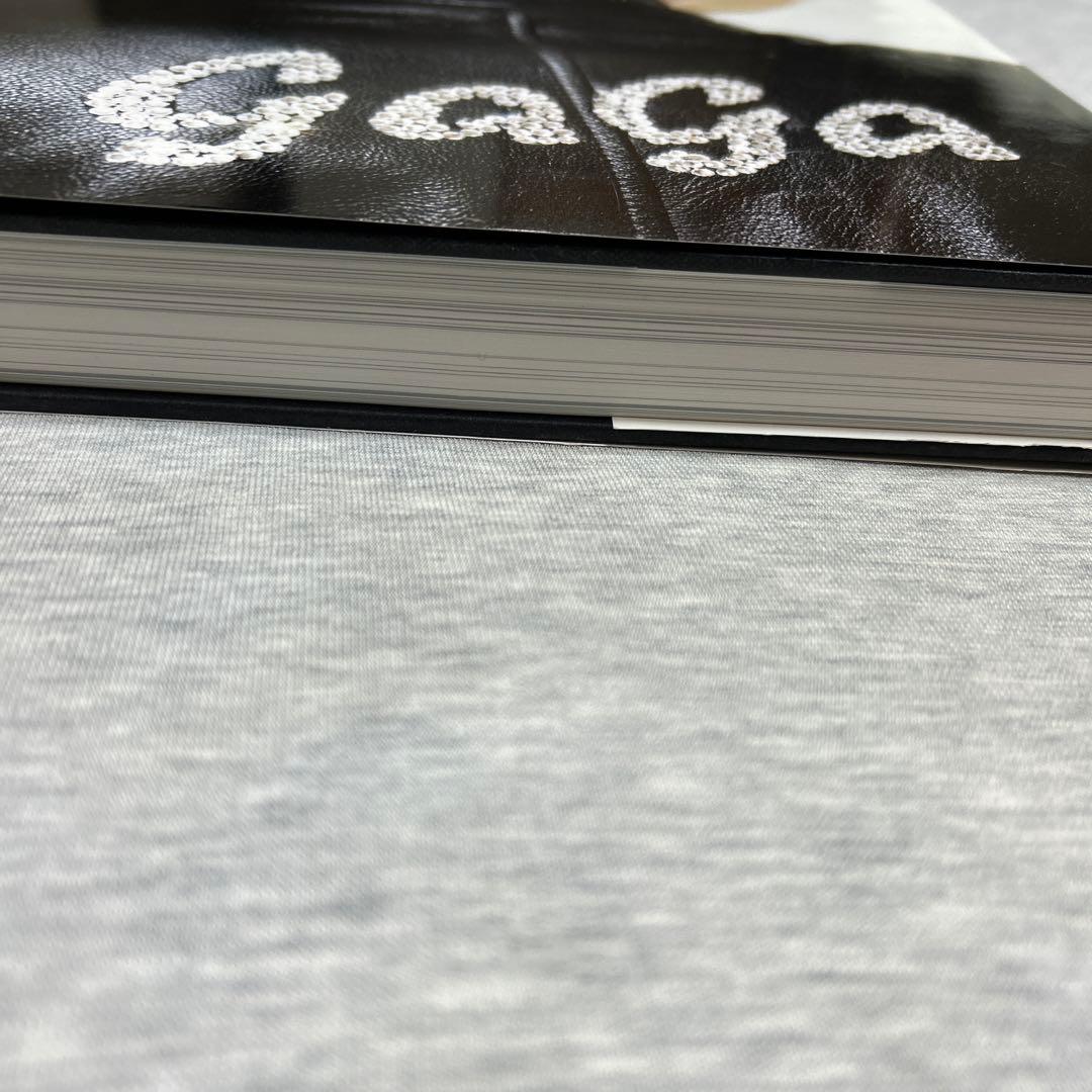 ミュージシャン #Lady Gaga X #Terry Richardson#Beatles